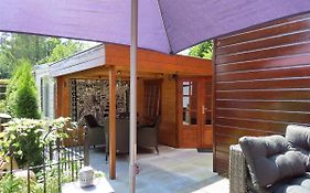 Veluwe Park Reewold Chalet Vision